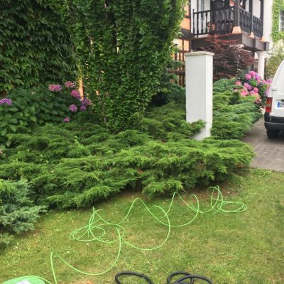 IMG_3904-e1500635048254-768x1024