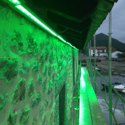 Iphone-Julio-2014-1781-768x1024